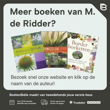 Aan Borms - M. de Ridder 9789085421108, Boeken, Literatuur, Verzenden, Gelezen, M. de Ridder