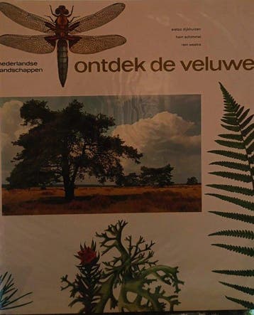 Ontdek de Veluwe / Nederlandse landschappen - Dykhuizen, Boeken, Verzenden, Gelezen, Dykhuizen