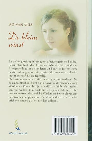 De kleine winst 9789020528305 A. van Gils, Boeken, Romans, Verzenden, Gelezen, A. van Gils