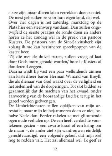 De heks van Limbricht / XL / 1371 9789046313718 Susan Smit, Boeken, Verzenden, Zo goed als nieuw, Susan Smit