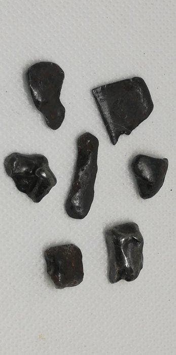 7 Sikhote-Alin IJzer meteoriet - 17.28 g