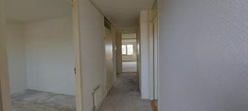 Te huur: Appartement Olof Palmeborg in Schiedam, Zuid-Holland, Appartement, Schiedam