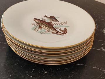 Richard Ginori - Tafelservies voor 6 (6) - Porselein