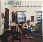 Andrew Gold - Whats Wrong With This Picture?, Ophalen of Verzenden, Gebruikt