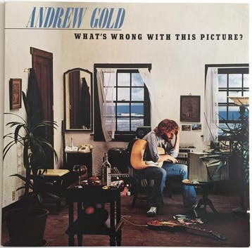 Andrew Gold - Whats Wrong With This Picture?, Ophalen of Verzenden, Gebruikt