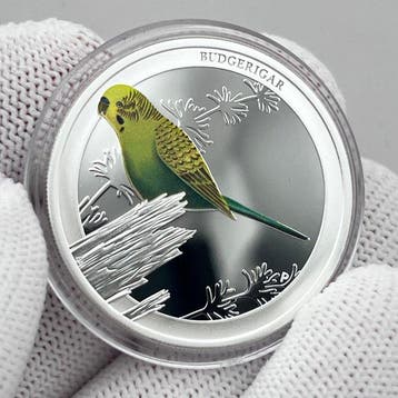 Australië. 50 Cents 2013 – Australian Birds – Budgerigar –