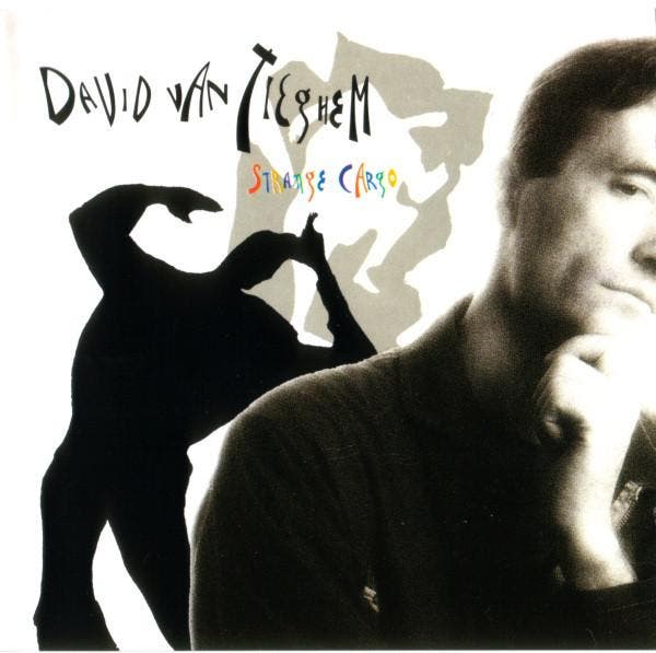 cd - David Van Tieghem - Strange Cargo, Cd's en Dvd's, Cd's | Overige Cd's, Zo goed als nieuw, Verzenden