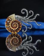 Geen reserveprijs Prachtige ammoniet, handgemaakte, Verzamelen