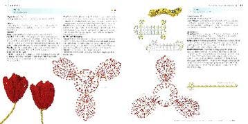 100 bloemen om te haken 9789089982841 Caitlin Sainio, Verzenden, Gelezen, Caitlin Sainio