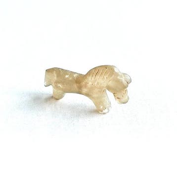 Sino-Mongools of Sino-Siberisch Witte Agaat XS Paardenkraal