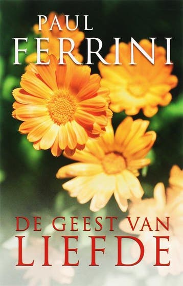 De geest van liefde - Paul Ferrini 9789020284409, Boeken, Verzenden, Zo goed als nieuw, Paul Ferrini