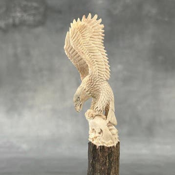 Snijwerk, NO RESERVE PRICE - Stunning Eagle Carving from a