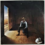 LP gebruikt - Don McLean - Homeless Brother, Verzenden, Zo goed als nieuw