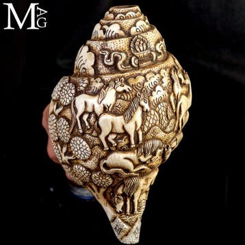Antieke Hindu Shankha schelp - handgemaakte gravure -, Verzamelen
