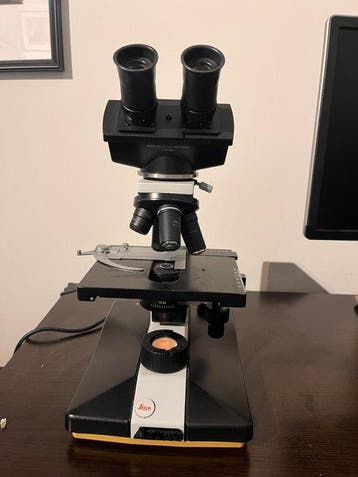 Binocular compound microscope - 110/120 - 1990-2000 -