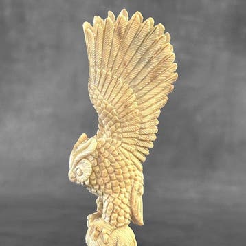 Snijwerk, NO RESERVE PRICE - Stunning Owl carving from a