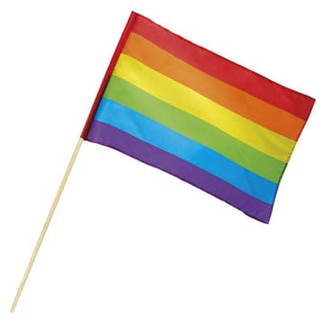 Zwaaivlag regenboog 76cm, Ophalen of Verzenden, Nieuw