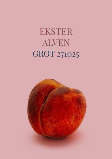 Grot 271025 | Ekster Alven | Nieuw, Ophalen of Verzenden, Nieuw, Ekster Alven