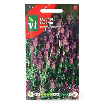 Lavendel zaad | VT, Verzenden