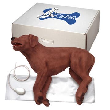 Anatomie model reanimatie hond Casper, Nieuw