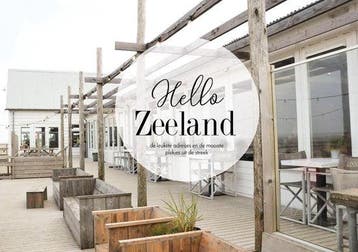 Reisgids - Zeeland, Verzenden, Gelezen