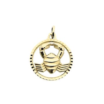 Gouden sterrenbeeld hanger Kreeft (Hanger of bedel), Ophalen of Verzenden, Gebruikt, Goud, Overige merken