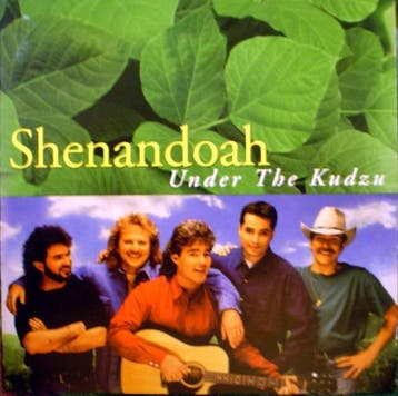 cd - Shenandoah - Under The Kudzu, Verzenden, Zo goed als nieuw