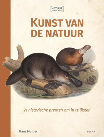 Kunst van de natuur / Natuur aan de muur - Hans Mulder, Verzenden, Gelezen, Hans Mulder