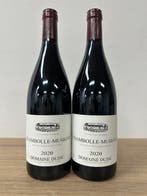 2020 Domaine Dujac Chambolle-Musigny - Bourgogne - 2 Flessen, Nieuw