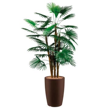 Rhapis Palm kunstplant, H150cm, Huis en Inrichting, Ophalen of Verzenden, Palm, 150 tot 200 cm