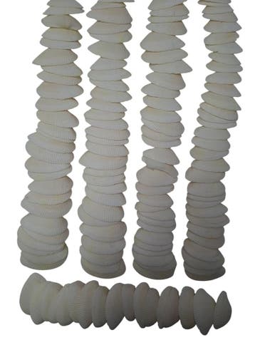 Dinh Ba Cockels Schelpen 3,5-4,5 cm 450 gram, Ophalen of Verzenden, Nieuw