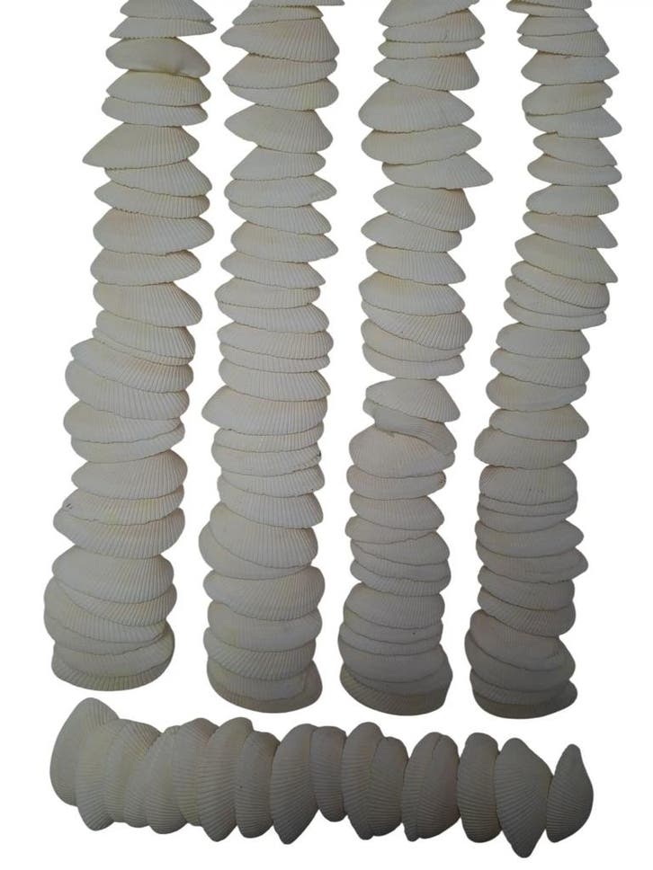 Dinh Ba Cockels Schelpen 3,5-4,5 cm 450 gram, Hobby en Vrije tijd, Knutselen, Nieuw, Ophalen of Verzenden