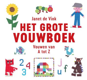 Het grote vouwboek - Janet de Vink 9789043922395, Boeken, Verzenden, Zo goed als nieuw, Janet de Vink