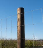 Weidepaal, Palen, Afrastering, Weide, Paal, Omheining, Weidegang, 4 paarden of pony's of meer
