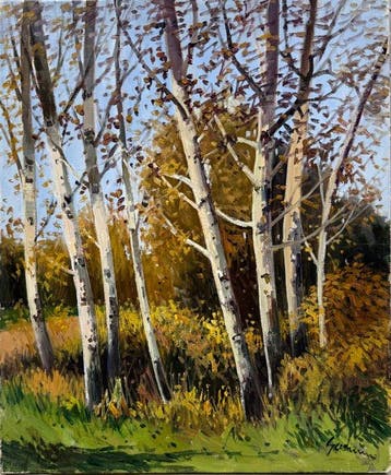 Antoni Maria Sadurní i Albañà (1927-2014) - Bosque otoñal de
