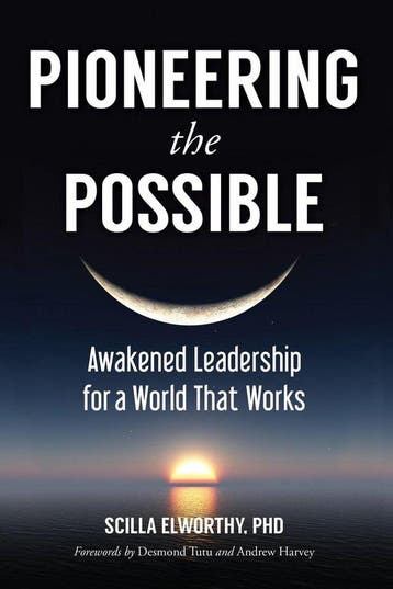 Pioneering the Possible - Scilla Elworthy 9781583948620, Boeken, Verzenden, Gelezen, Scilla Elworthy