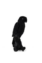 2dekans | Bold Monkey Papagaailamp - LED - Fluweel & PVC -, Ophalen of Verzenden, Nieuw