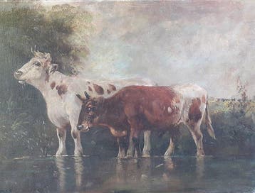 Scuola Belga (XIX-XX), Cerchia di Henry Schouten - Bovini al