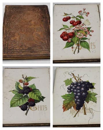 Mary Ann Bacon - Fruits from the Garden and Field - 1850