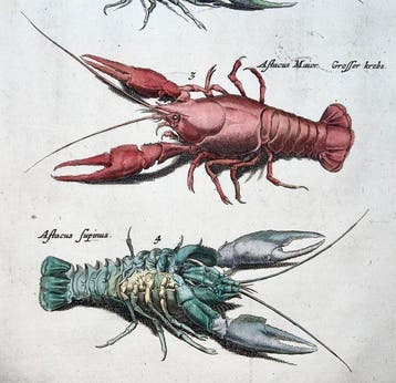 Matthäus Merian (1593-1650) - folio, hand coloured: