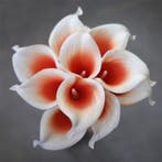 Calla Real Touch Wit Coral Center 7 cm 37 cm lang per stuk, Ophalen of Verzenden, Nieuw