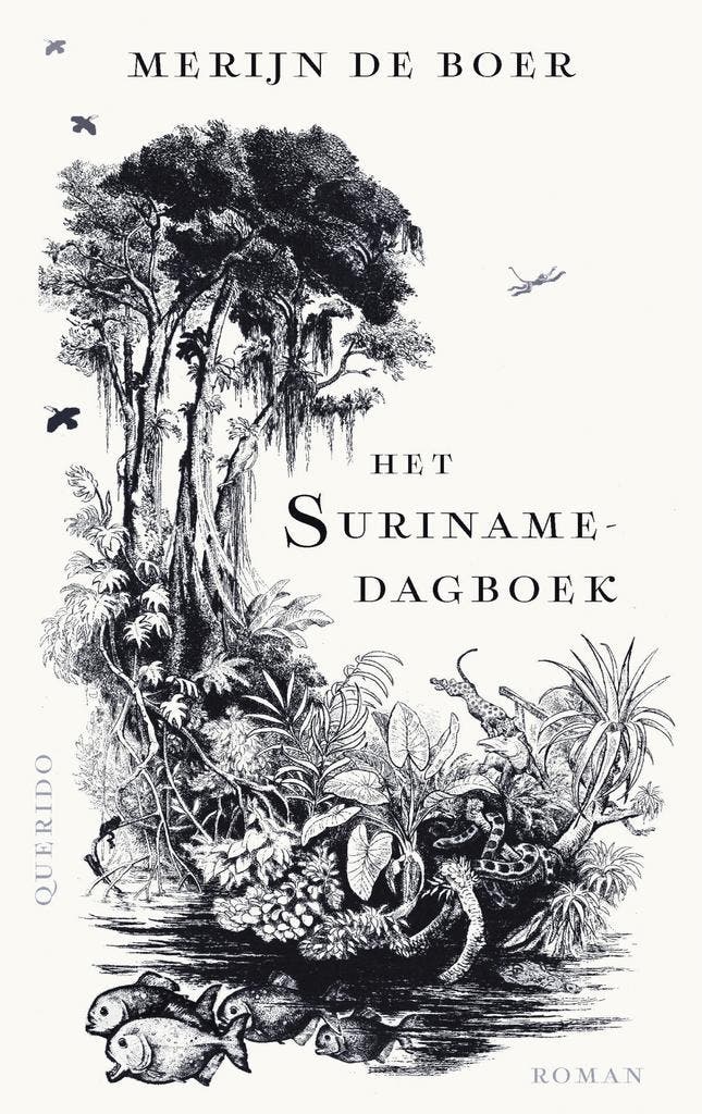 Het Surinamedagboek (9789021475608, Merijn De Boer), Boeken, Romans, Nieuw, Verzenden
