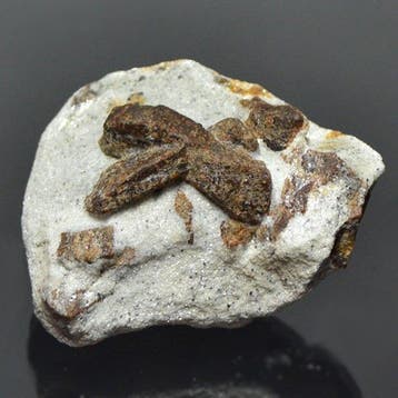 stauroliettweelingen Kristallen op matrix - Hoogte: 5 cm -
