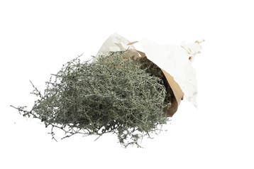 Wilde asparagus waxed green – decoratiegroen – ca. 700 gram, Ophalen of Verzenden, Nieuw