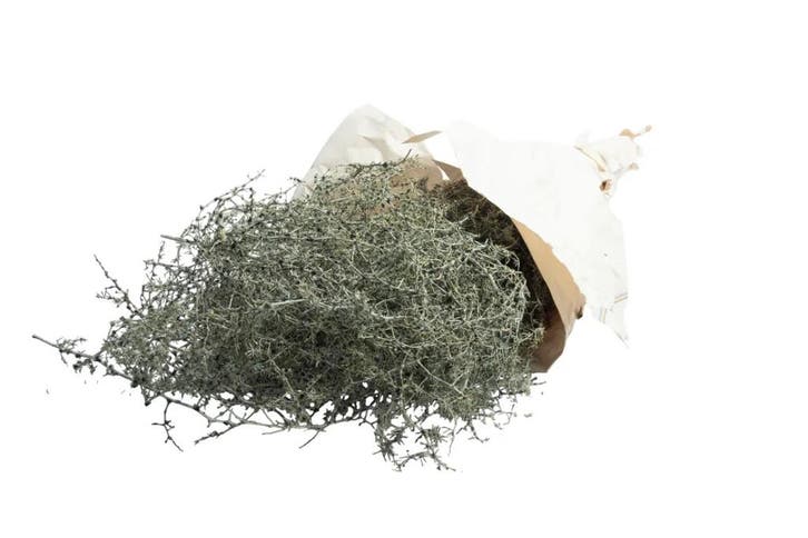 Wilde asparagus waxed green – decoratiegroen – ca. 700 gram, Huis en Inrichting, Woonaccessoires | Kunstplanten en Kunstbloemen