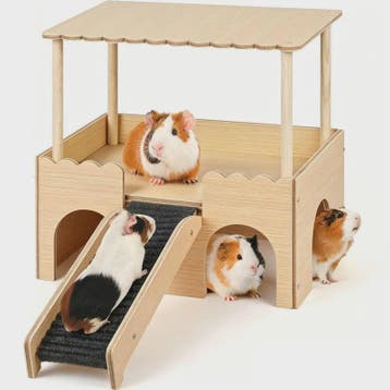 Houten Kasteel Speelhuisje voor Cavia's en Kleine Huisdieren, Verzenden, Nieuw