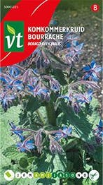 Komkommerkruid zaad | VT | 10 stuks, Tuin en Terras, Verzenden