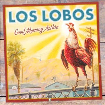 cd - Los Lobos - Good Morning AztlÃ¡n, Verzenden, Zo goed als nieuw