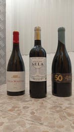2016 Finca Martelo, 2022 Bodegas Roda Sela, 2017 Solar de, Verzamelen, Nieuw