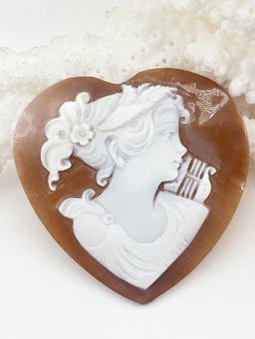 CASSIS MADAGASCARIENSIS - Cameo - Handgesneden camee, Antiek en Kunst, Curiosa en Brocante